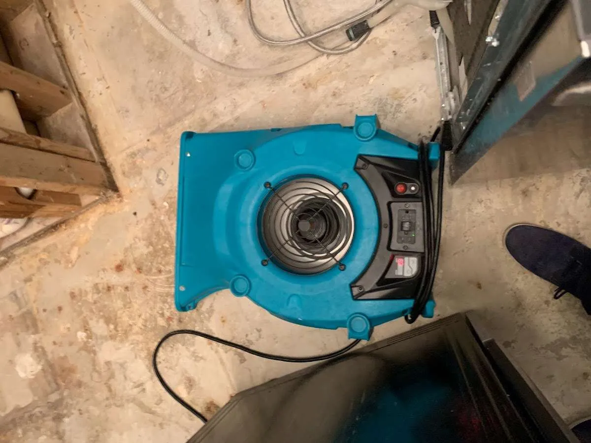Air mover drying equipment for Mold Remediation & Removal in Chalco